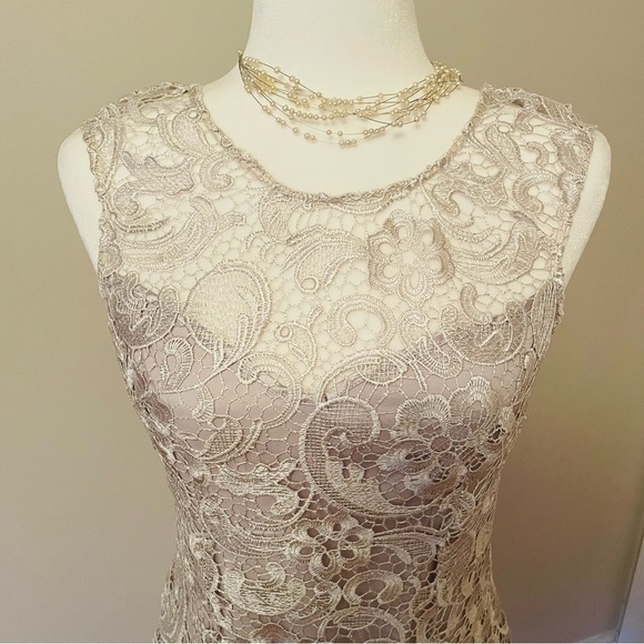 Francesca’s Lace Overlay Mini Dress – Silver/White, Elegant, Size Medium - Picture 10 of 13